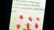谁还记得当年血书门？U15队员举报教练范斌隐瞒伤情&辱骂人格