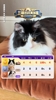 詹俊的猫预测世界杯赛果100%准确😱，今晚预测法国、挪威胜